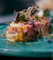 Loïc DUPUY - Lproject Photos