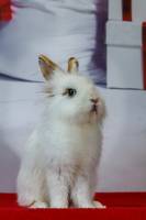 Jean-Marc PENRATH - STUDIO DES VIGNES D'AVARICUM